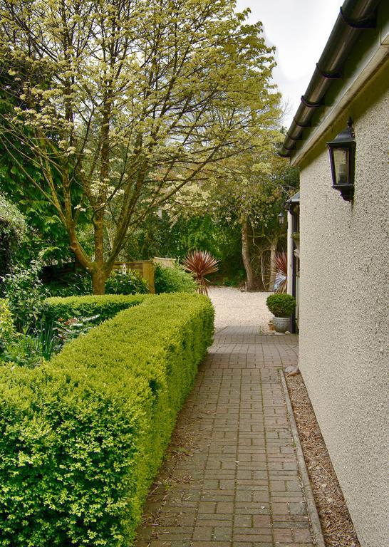 Tumbling Weir Hotel Ottery St Mary Luaran gambar
